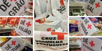 Recolha de alimentos nas lojas Continente resulta em mais de 170 mil refeições